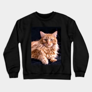 Big yellow cat Crewneck Sweatshirt